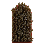 Diamond Fricker Brush